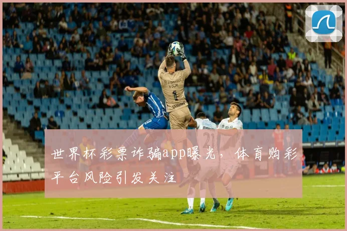世界杯彩票诈骗app曝光,体育购彩平台风险引发关注