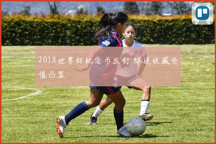 2018世界杯纪念币发行 球迷收藏价值凸显
