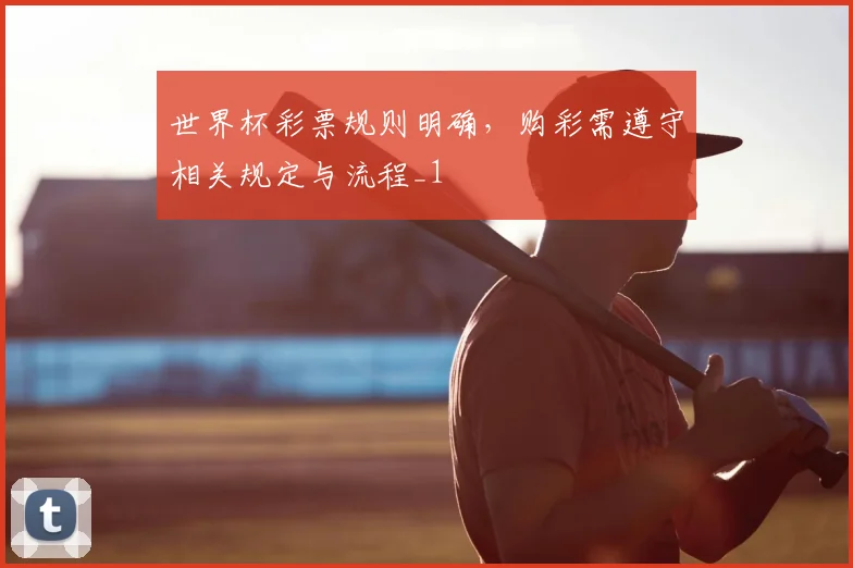世界杯彩票规则明确，购彩需遵守相关规定与流程_1