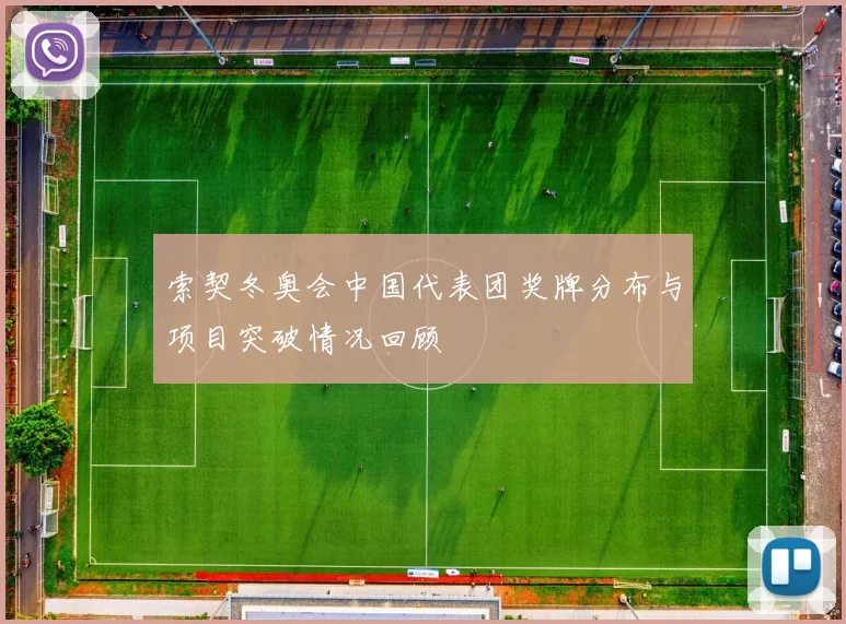 索契冬奥会中国代表团奖牌分布与项目突破情况回顾