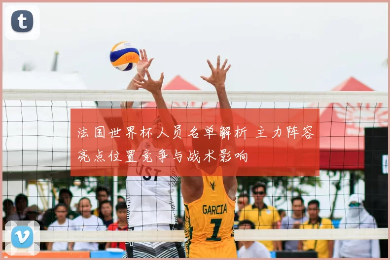 法国世界杯人员名单解析 主力阵容亮点位置竞争与战术影响