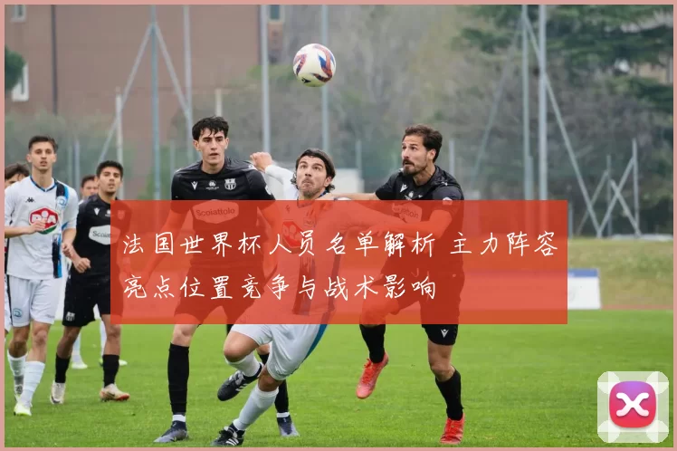 法国世界杯人员名单解析 主力阵容亮点位置竞争与战术影响